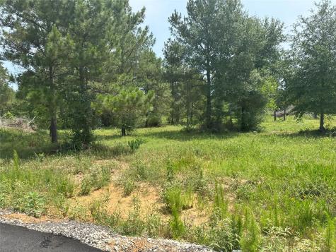 0 Boone Road Waller TX 77484
