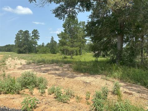 0 Boone Road Waller TX 77484