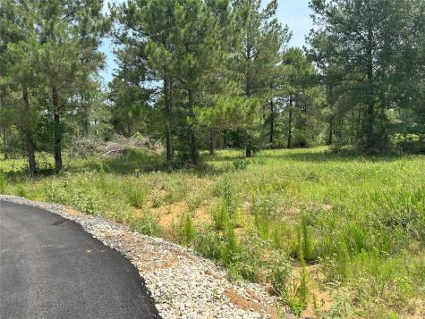 0 Boone Road Waller TX 77484