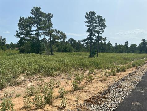 0 Boone Road Waller TX 77484