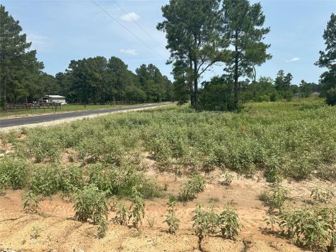 0 Boone Road Waller TX 77484