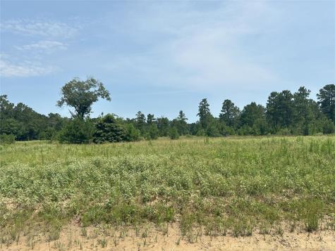 0 Boone Road Waller TX 77484