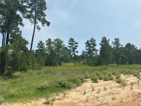 0 Boone Road Waller TX 77484