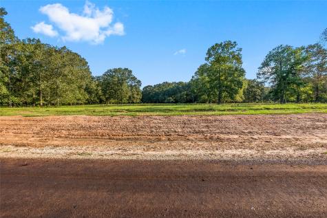 6052 Alans Memorial Lane New Waverly TX 77358