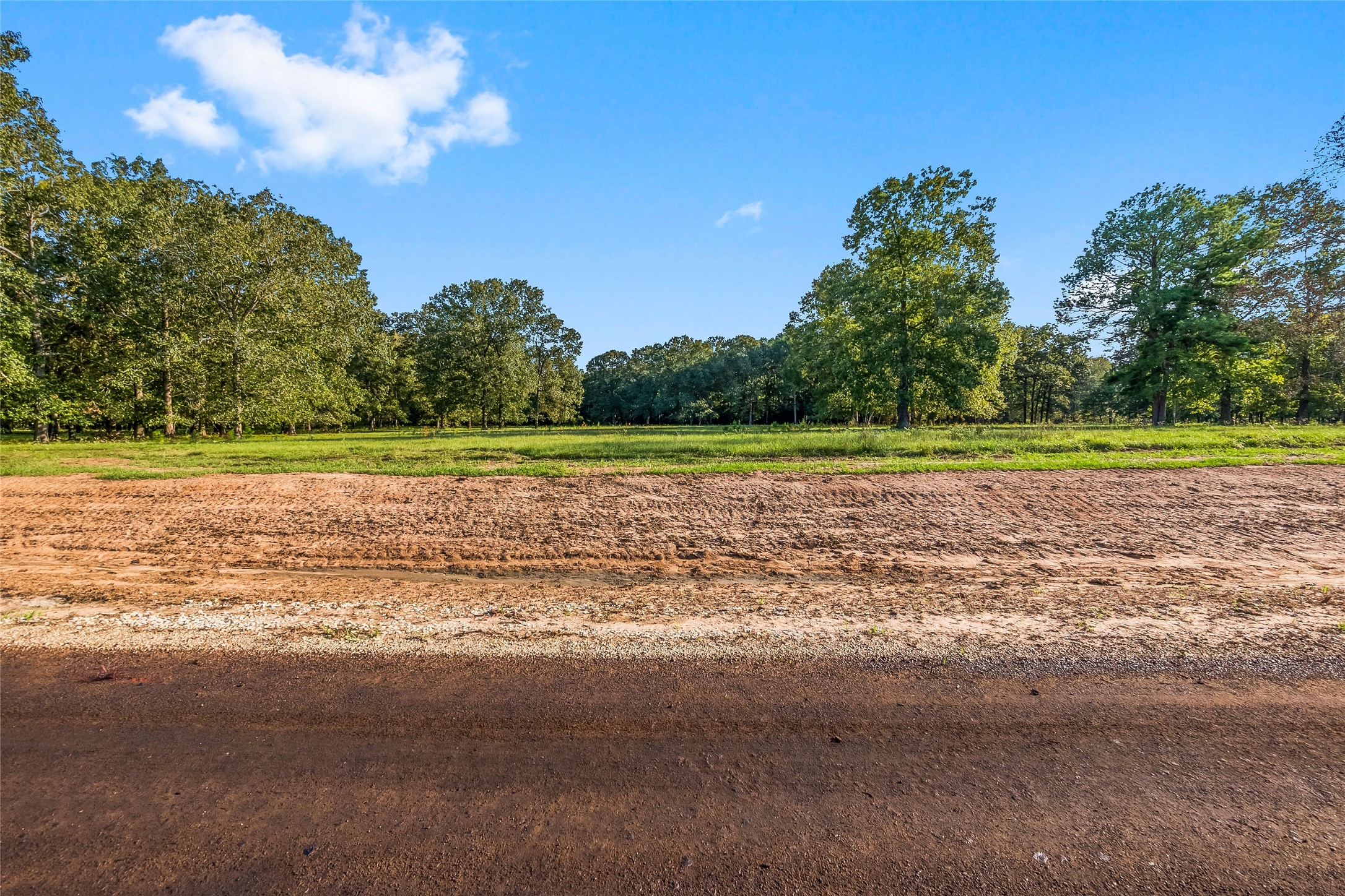 6052 Alans Memorial Lane New Waverly TX 77358
