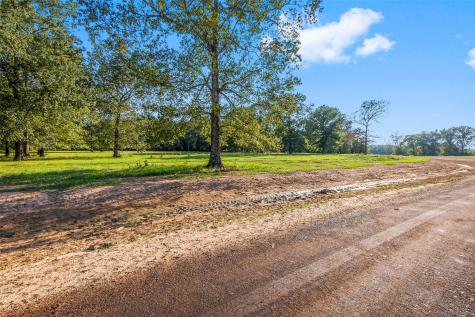 6052 Alans Memorial Lane New Waverly TX 77358