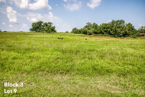 2410 Oak Hollow Lane Brenham TX 77833