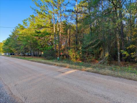 0 Lee Drive Cleveland TX 77328