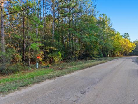 0 Lee Drive Cleveland TX 77328