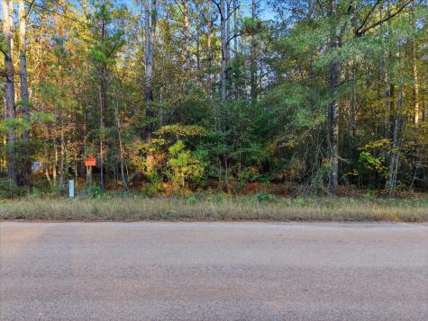 0 Lee Drive Cleveland TX 77328