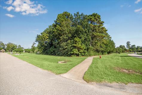 4502 Siandra Creek Court Spring TX 77386