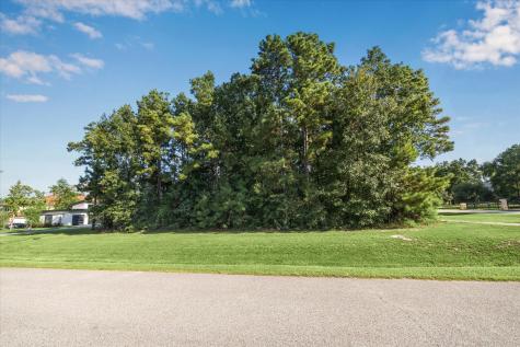 4502 Siandra Creek Court Spring TX 77386