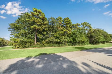 4502 Siandra Creek Court Spring TX 77386
