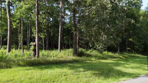 035 Naples Way Huntsville TX 77320