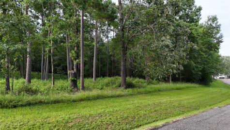 035 Naples Way Huntsville TX 77320