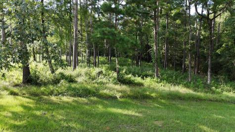 035 Naples Way Huntsville TX 77320