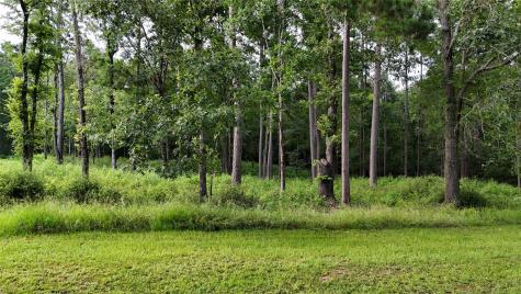 035 Naples Way Huntsville TX 77320