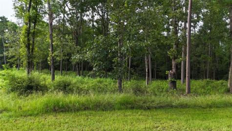 035 Naples Way Huntsville TX 77320