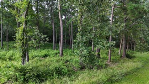 035 Naples Way Huntsville TX 77320