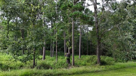 035 Naples Way Huntsville TX 77320
