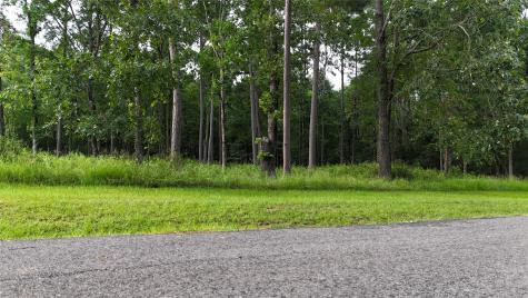 035 Naples Way Huntsville TX 77320