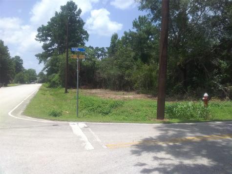 Lot 45 Moore Street Tomball TX 77375