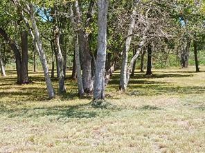 32203 Amberjack Drive Richwood TX 77515