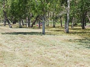 32203 Amberjack Drive Richwood TX 77515