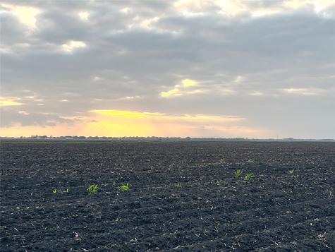 00 County Road 460 El Campo TX 77437