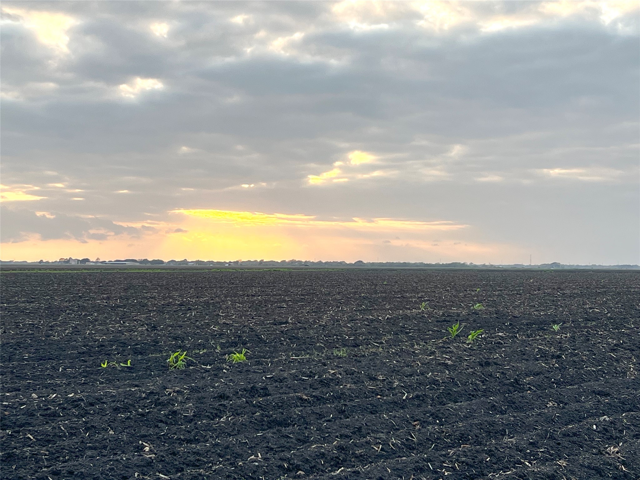 00 County Road 460 El Campo TX 77437
