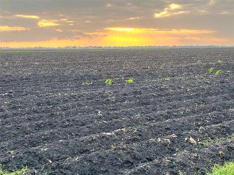 00 County Road 460 El Campo TX 77437