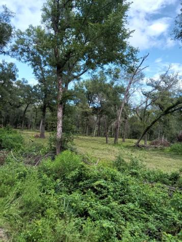 3116 State Highway 75 N Huntsville TX 77320