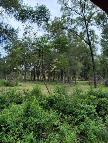 3116 State Highway 75 N Huntsville TX 77320
