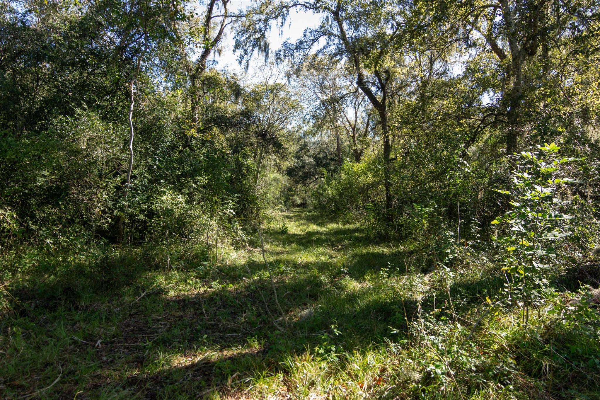 0000 Cr 611 Angleton TX 77515