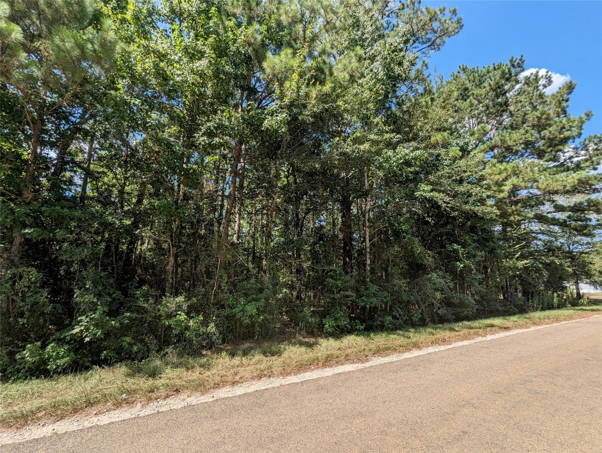 320 Hillbilly Heaven Road Livingston TX 77351