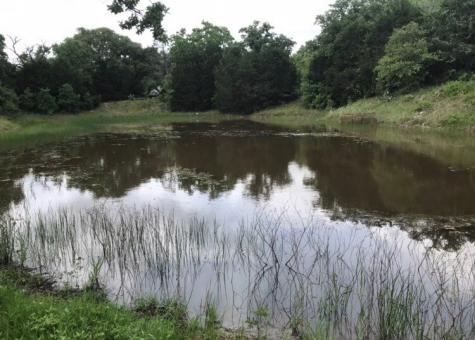 1803 Doe Run Drive Waelder TX 78959