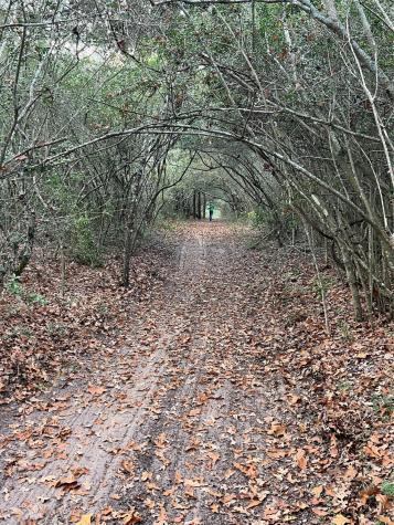 1803 Doe Run Drive Waelder TX 78959