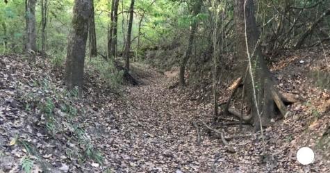 1803 Doe Run Drive Waelder TX 78959