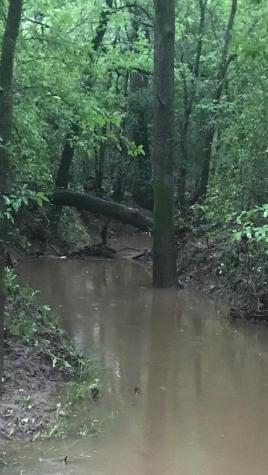 1803 Doe Run Drive Waelder TX 78959