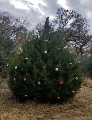 1803 Doe Run Drive Waelder TX 78959