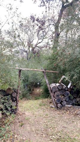 1803 Doe Run Drive Waelder TX 78959