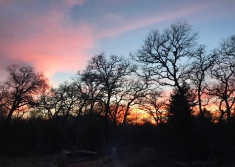 1803 Doe Run Drive Waelder TX 78959
