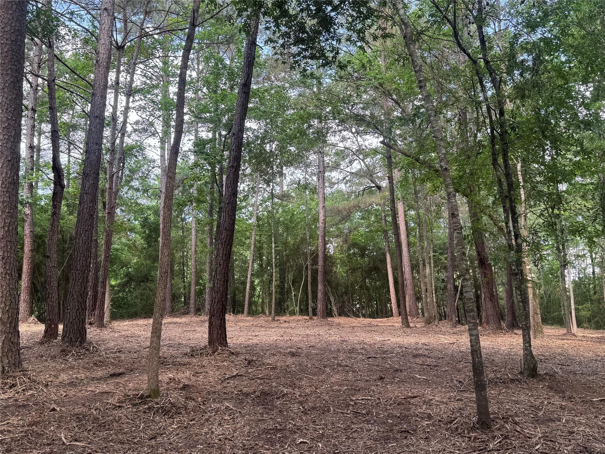 29 & 30-21-9 Windmill Road Huntsville TX 77340