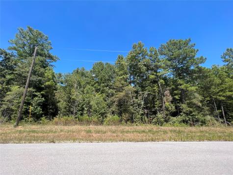 29 & 30-21-9 Windmill Road Huntsville TX 77340
