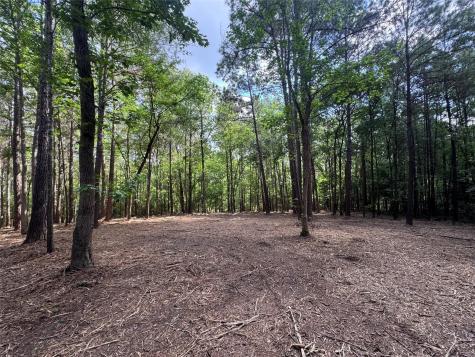 29 & 30-21-9 Windmill Road Huntsville TX 77340