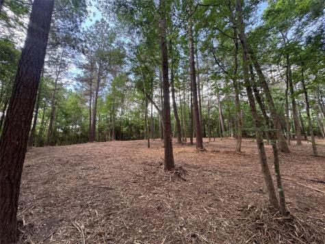 29 & 30-21-9 Windmill Road Huntsville TX 77340