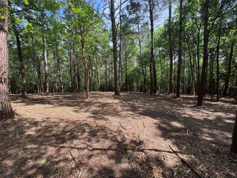 29 & 30-21-9 Windmill Road Huntsville TX 77340