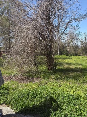1043 Lincoln Street Beaumont TX 77701
