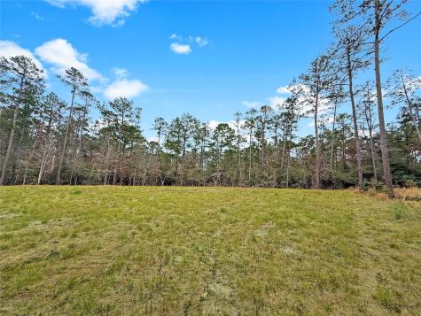 252 Amblewood Drive Brookeland TX 75931