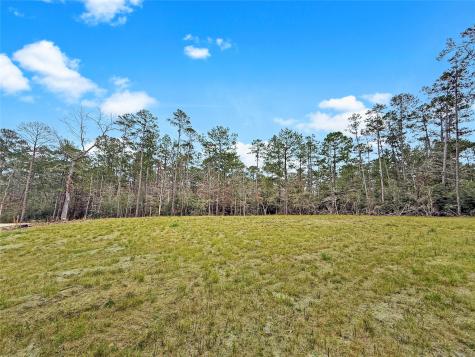 252 Amblewood Drive Brookeland TX 75931